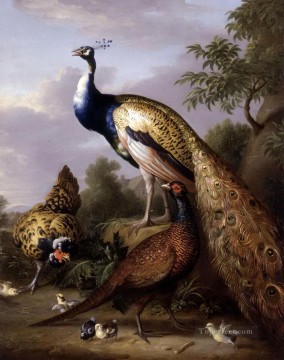  Birds Tableaux - Tobias Stranover Peacock Poule et Coq Faisan dans un Paysage